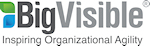 BigVisible Solutions